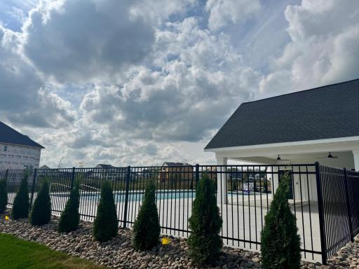 Community Pool Progress Photo