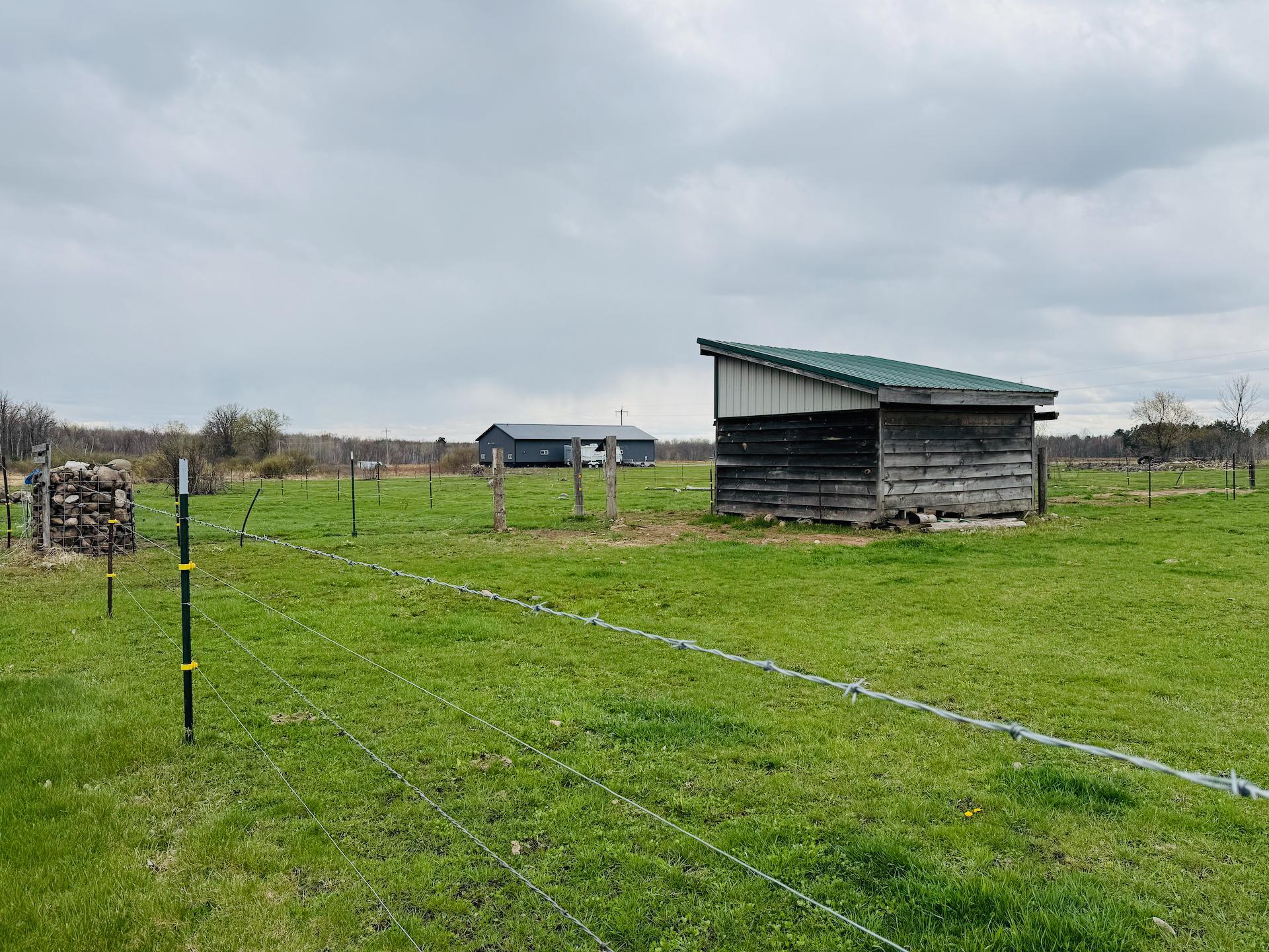 Photo 45