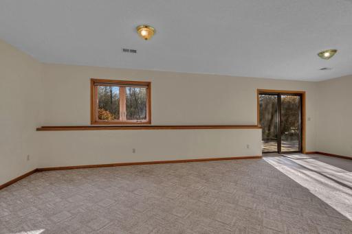 Large lower level family room that walks out to the back patio
