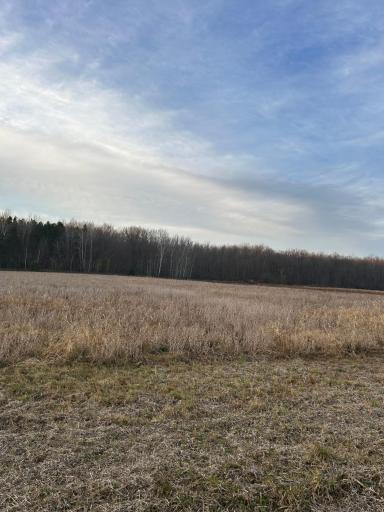 Lot 1 Cty Rd B, Woodville, WI 54028