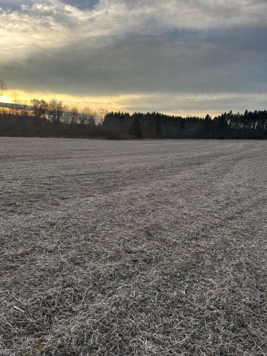 Lot 1 Cty Rd B, Woodville, WI 54028