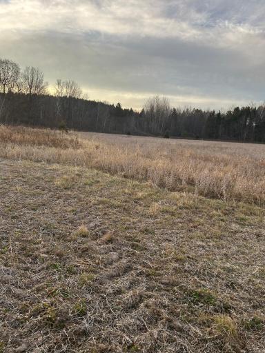 Lot 1 Cty Rd B, Woodville, WI 54028