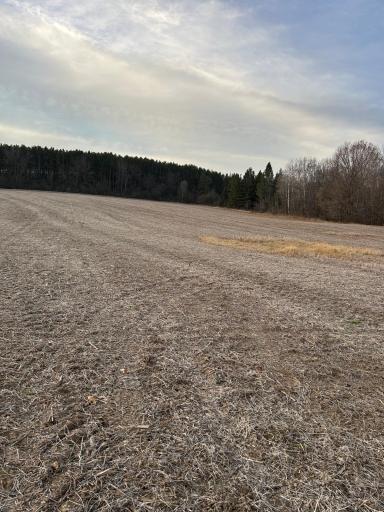 Lot 1 Cty Rd B, Woodville, WI 54028
