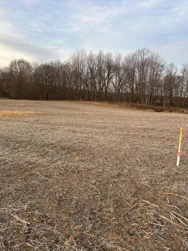 Lot 1 Cty Rd B, Woodville, WI 54028