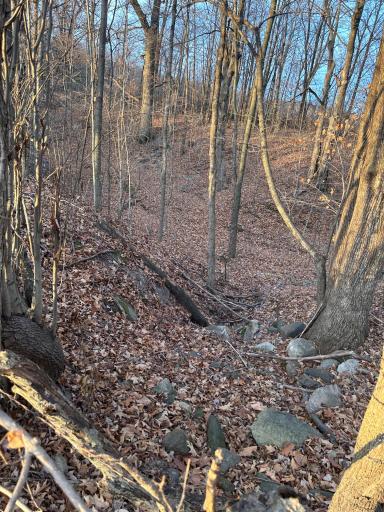 Lot 1 Cty Rd B, Woodville, WI 54028
