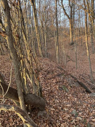 Lot 1 Cty Rd B, Woodville, WI 54028