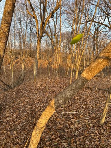 Lot 1 Cty Rd B, Woodville, WI 54028