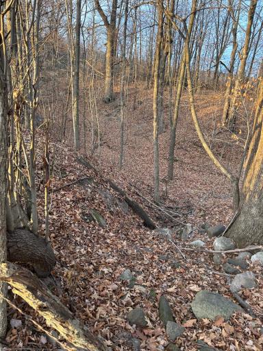 Lot 1 Cty Rd B, Woodville, WI 54028