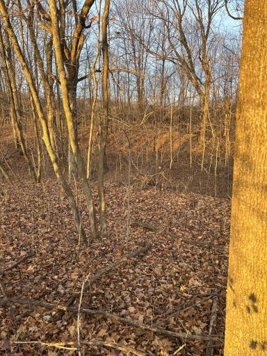 Lot 1 Cty Rd B, Woodville, WI 54028