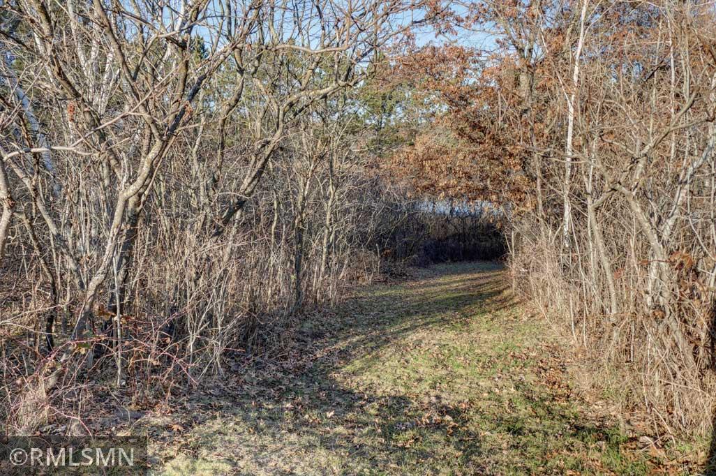 Path to the lake.