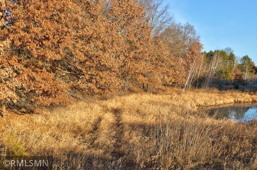 Area between the driveway and the pond.