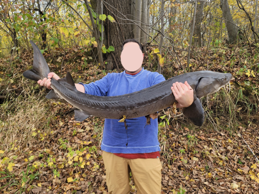 15xxx Lofty Pines Road, Pine City, MN 55063