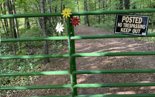 15xxx Lofty Pines Road, Pine City, MN 55063