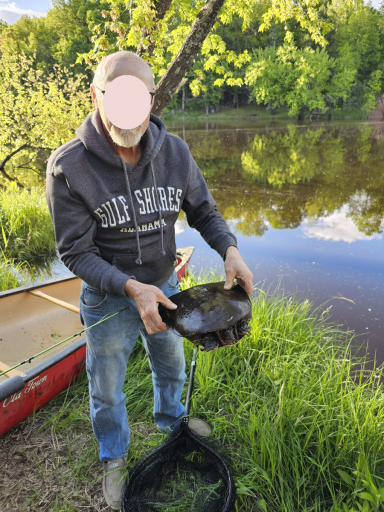 15xxx Lofty Pines Road, Pine City, MN 55063