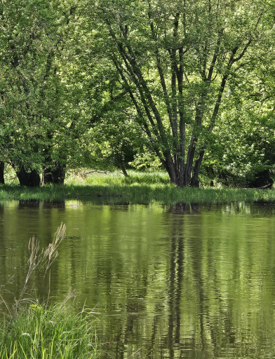 15xxx Lofty Pines Road, Pine City, MN 55063