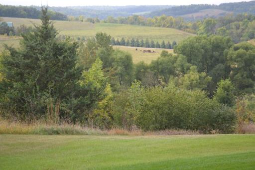 37350 County 14 Boulevard, Dennison, MN 55018