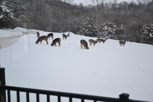 37350 County 14 Boulevard, Dennison, MN 55018