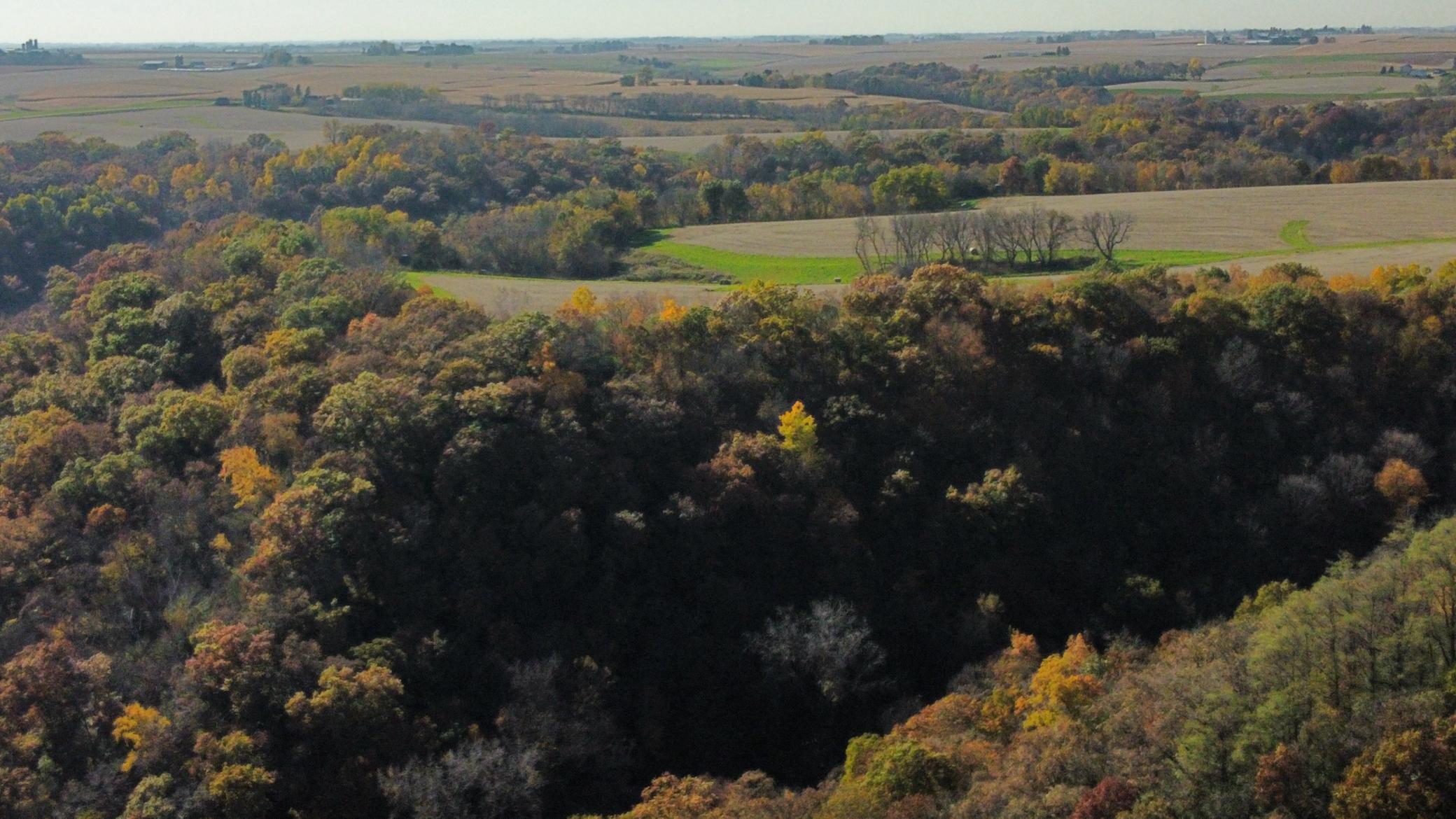 dji_fly_20251024_142852_480_1761334876476_photo_optimized.jpeg