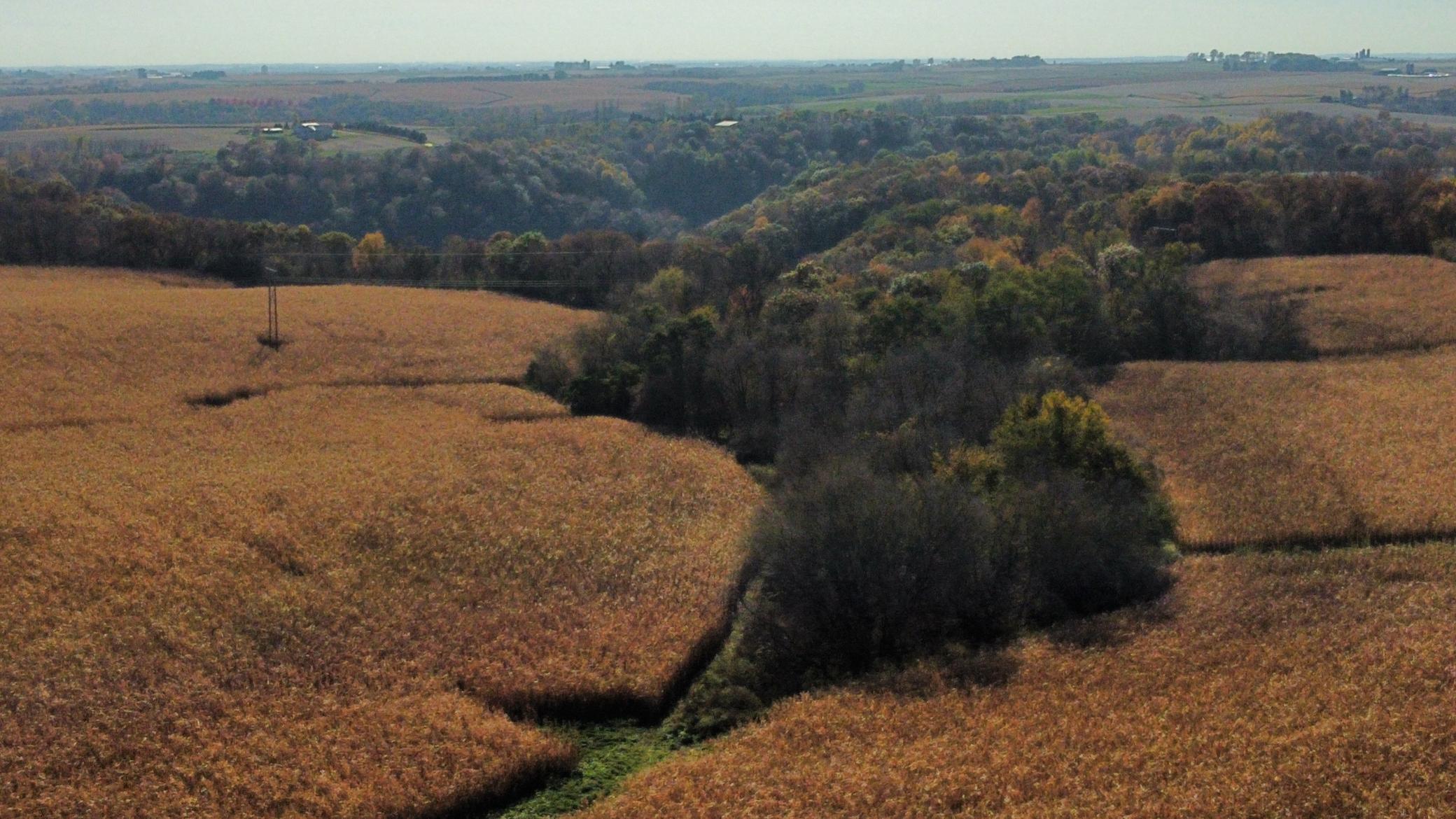 dji_fly_20251024_142526_465_1761334894773_photo_optimized.jpeg