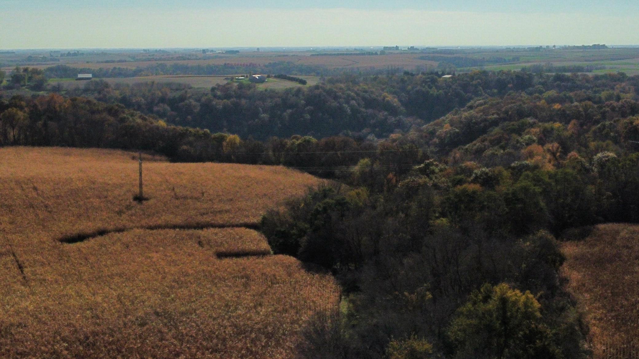 dji_fly_20251024_142606_468_1761334891413_photo_optimized.jpeg
