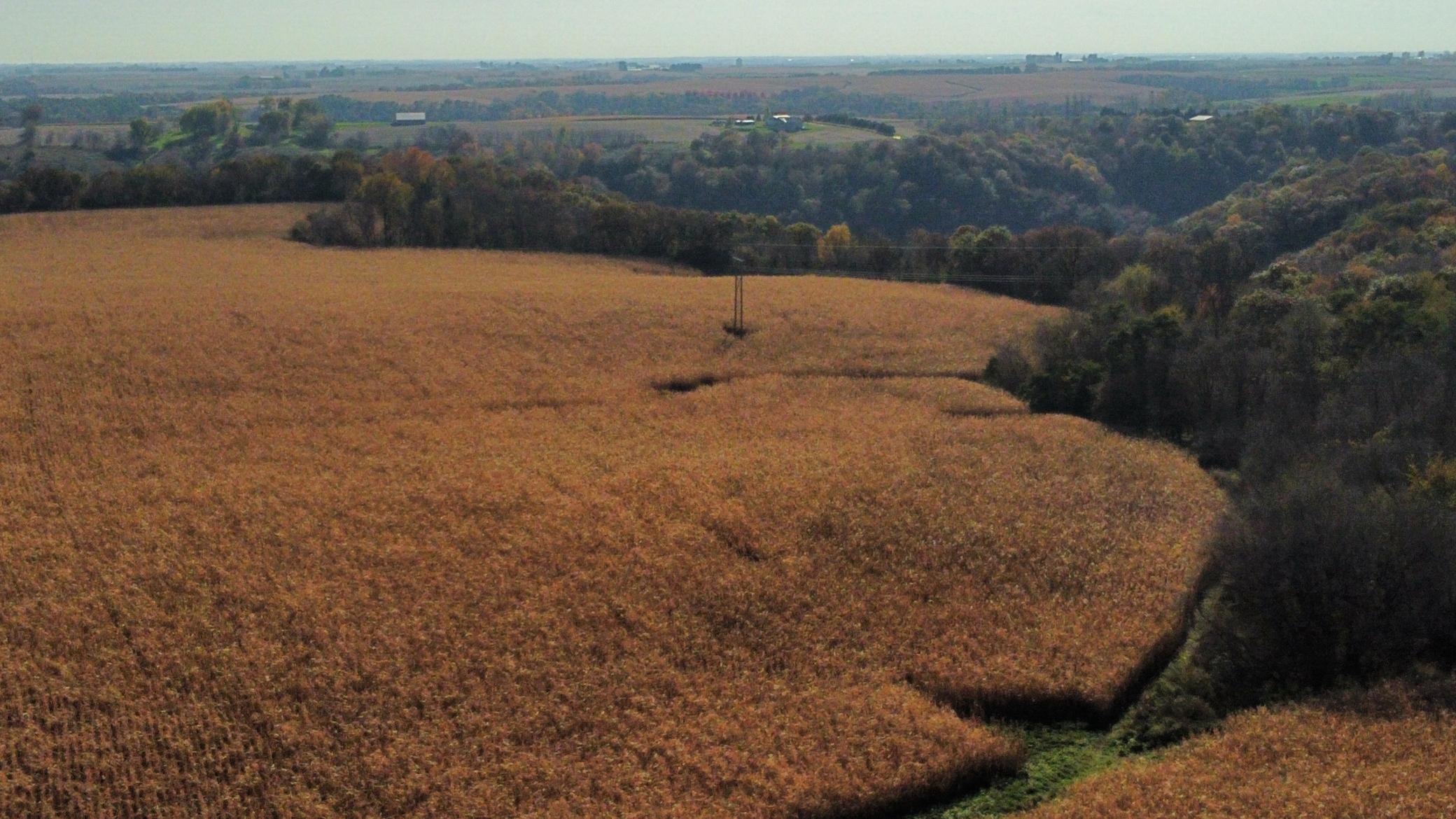 dji_fly_20251024_142528_466_1761334893138_photo_optimized.jpeg