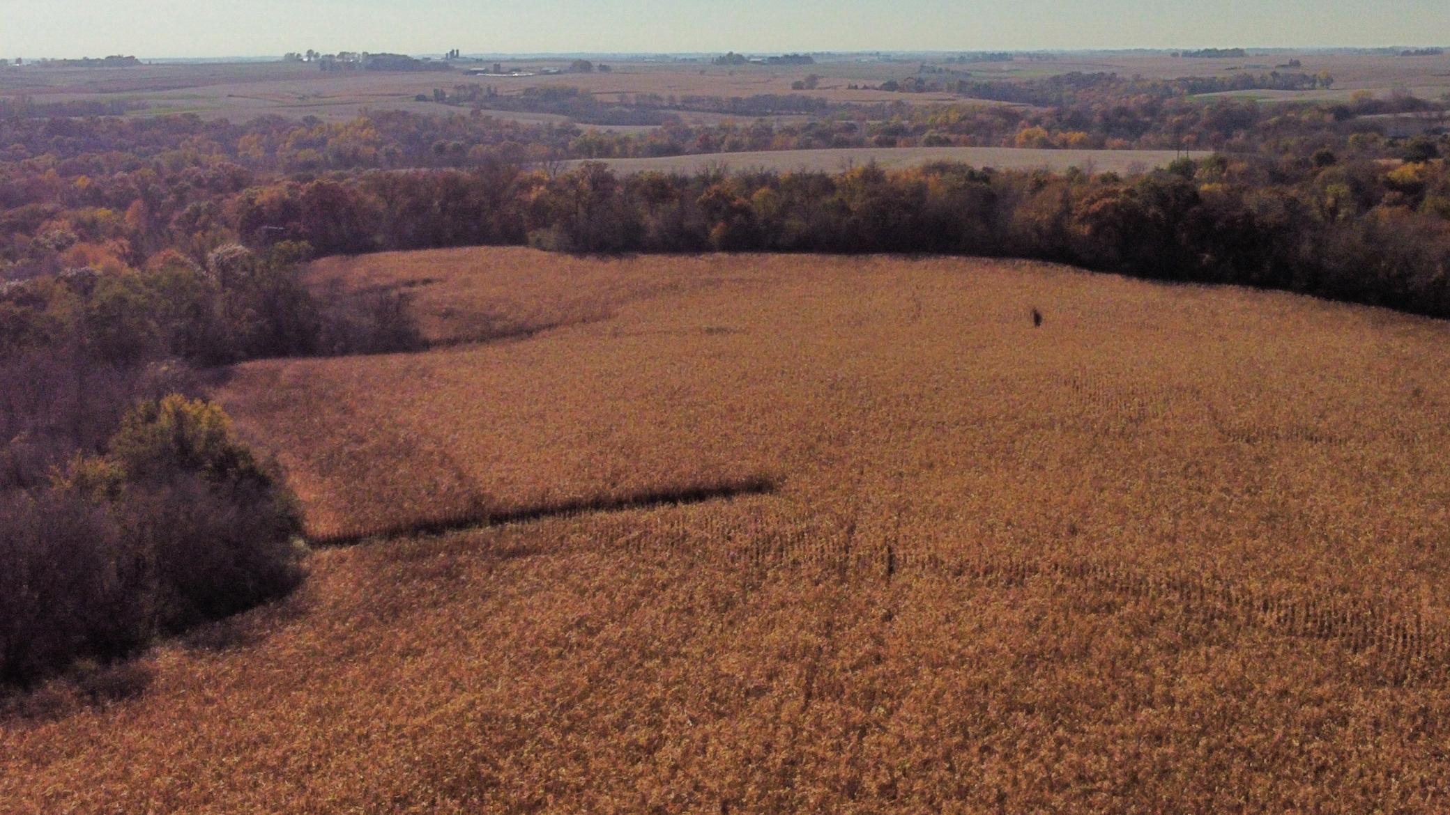 dji_fly_20251024_142522_464_1761334896344_photo_optimized.jpeg