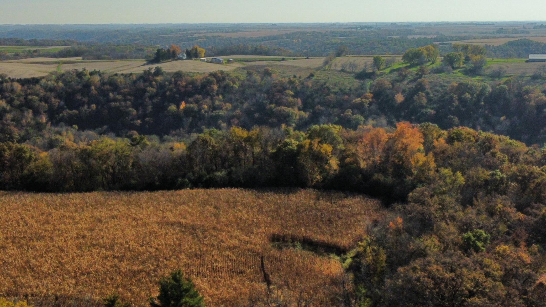 dji_fly_20251024_142810_474_1761334882448_photo_optimized.jpeg