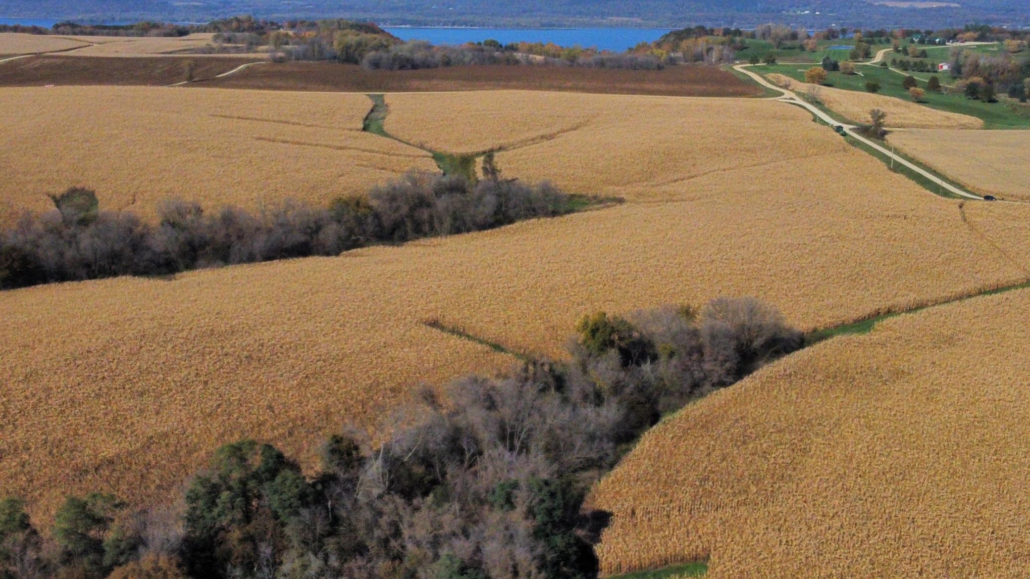dji_fly_20251024_143132_496_1761334859310_photo_optimized.jpeg