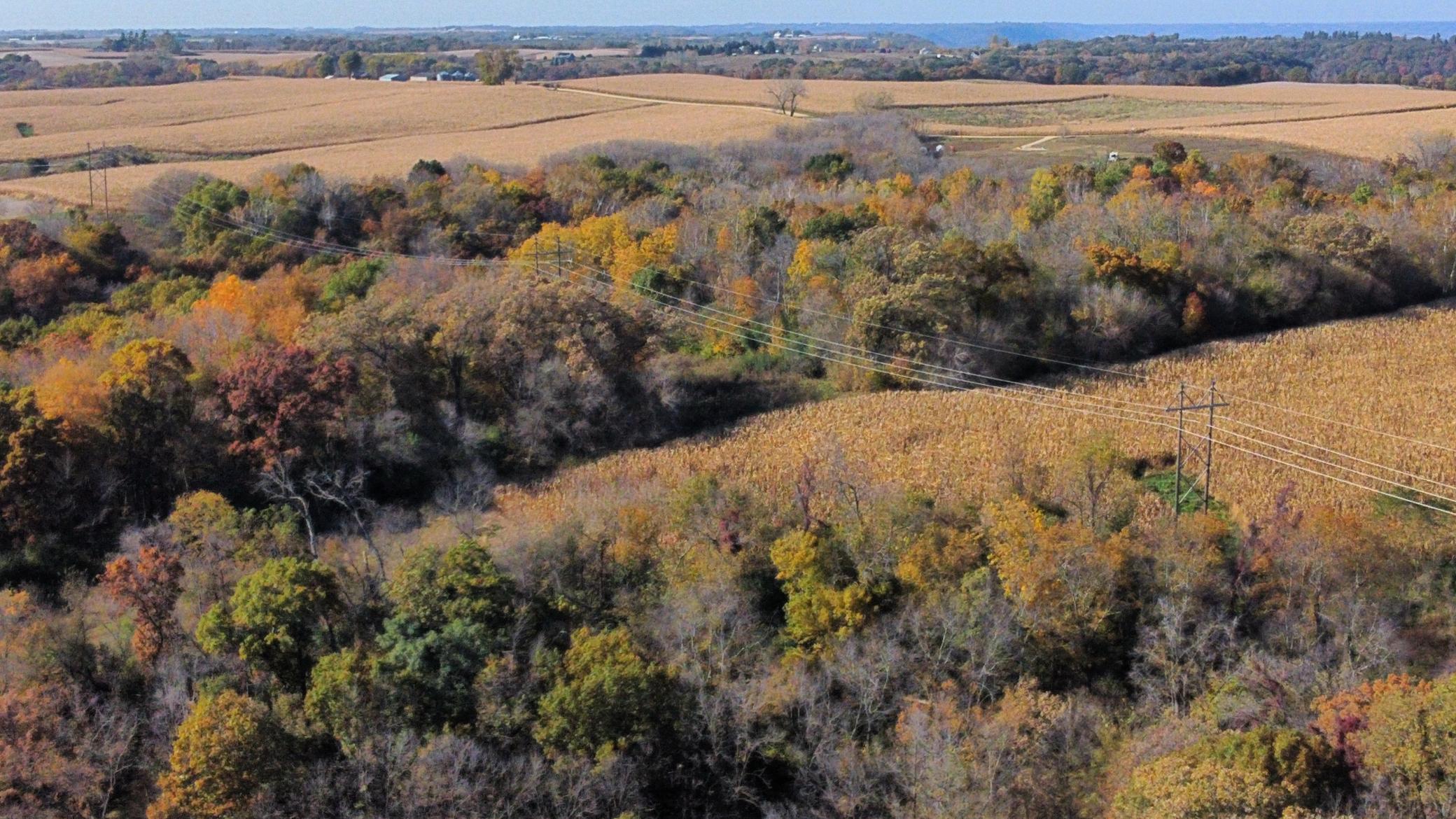 dji_fly_20251024_142900_481_1761334874932_photo_optimized.jpeg