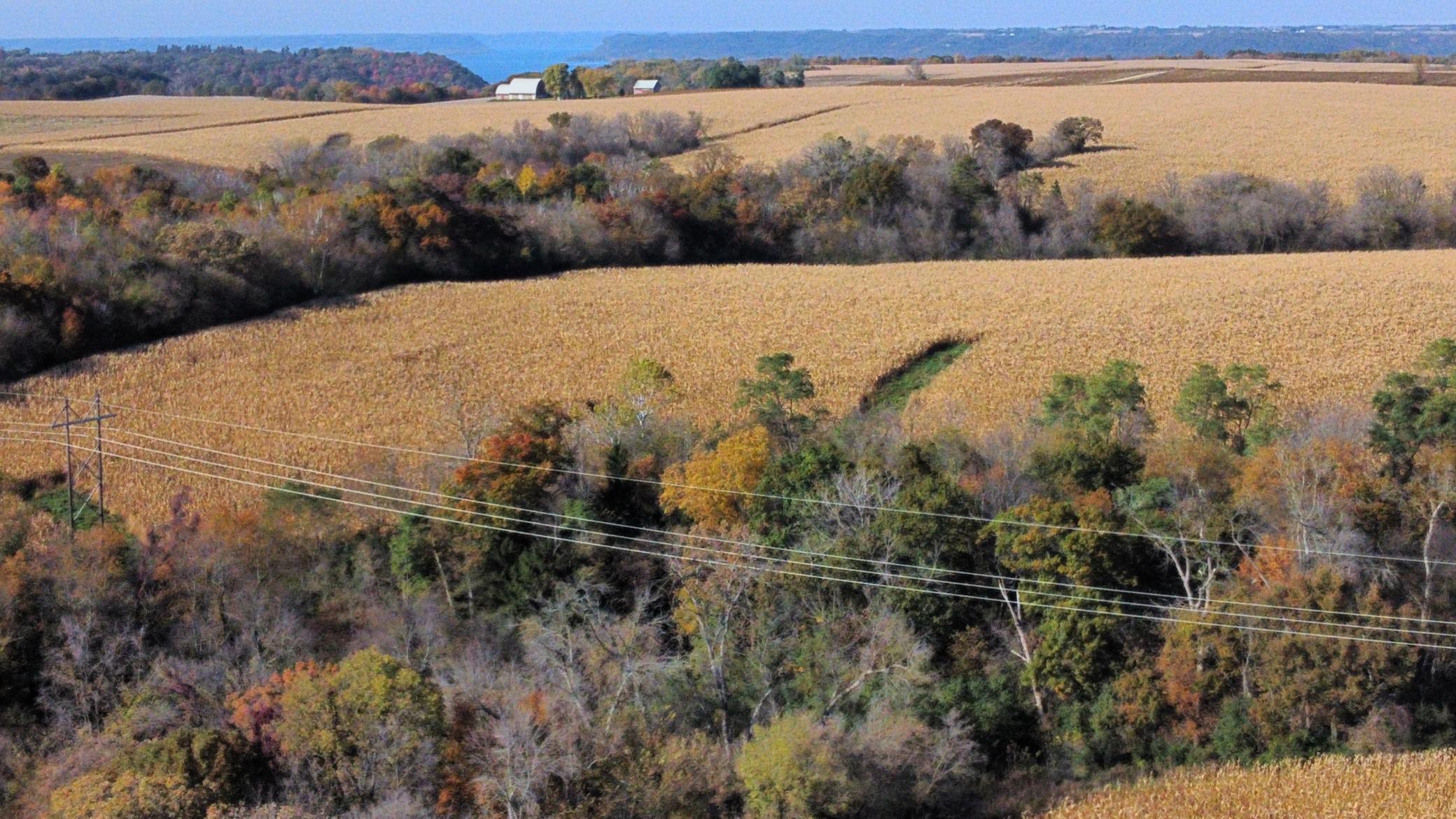 dji_fly_20251024_142912_482_1761334874061_photo_optimized.jpeg