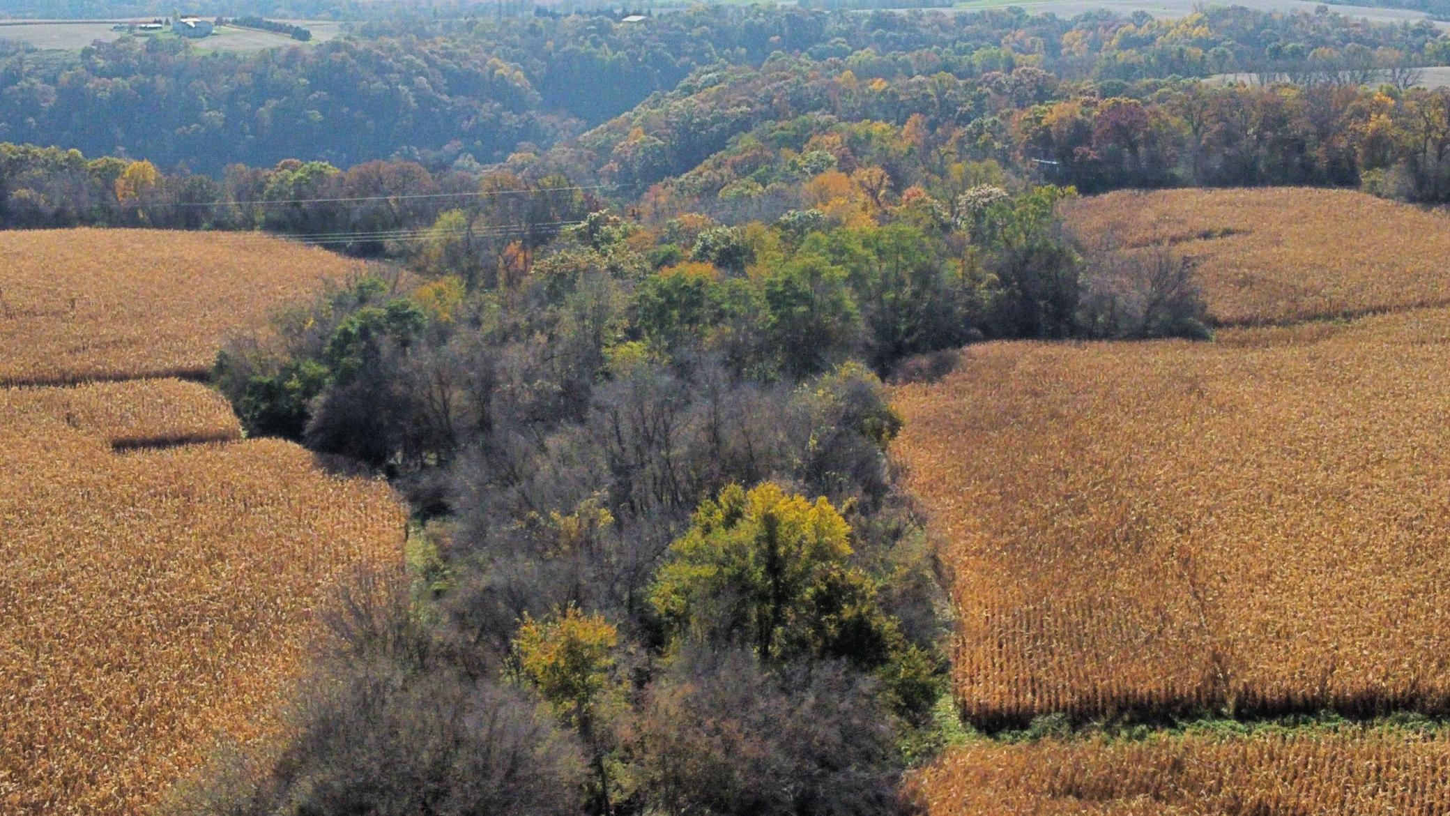 dji_fly_20251024_142600_467_1761334892267_photo_optimized.jpeg