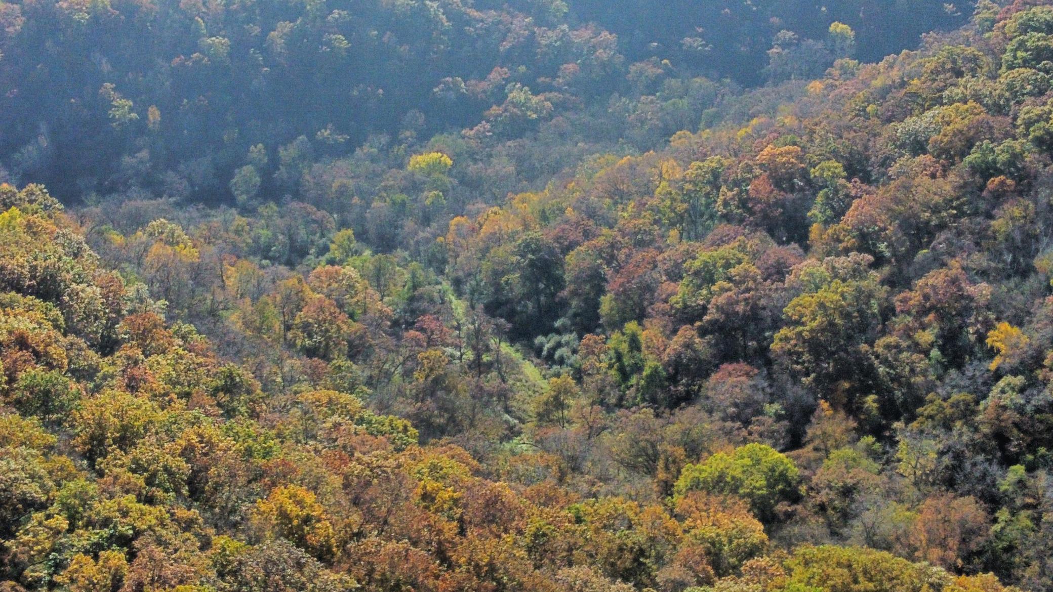 dji_fly_20251024_142818_475_1761334881660_photo_optimized.jpeg