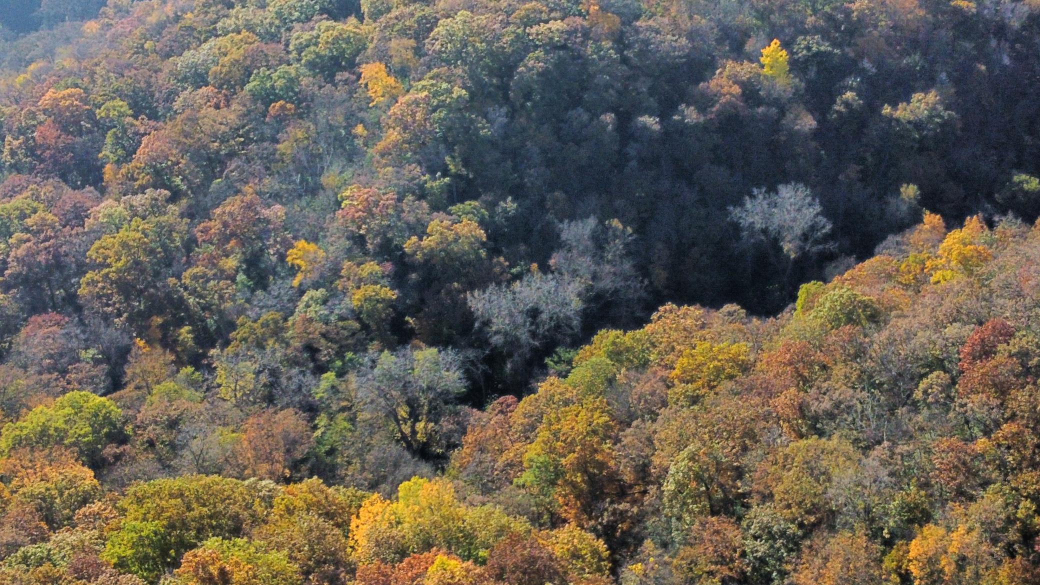 dji_fly_20251024_142834_477_1761334879973_photo_optimized.jpeg