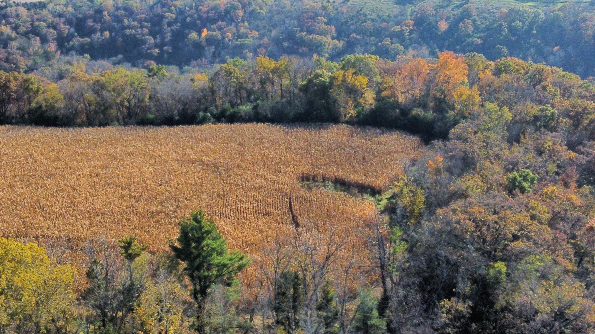 dji_fly_20251024_142804_473_1761334884092_photo_optimized.jpeg