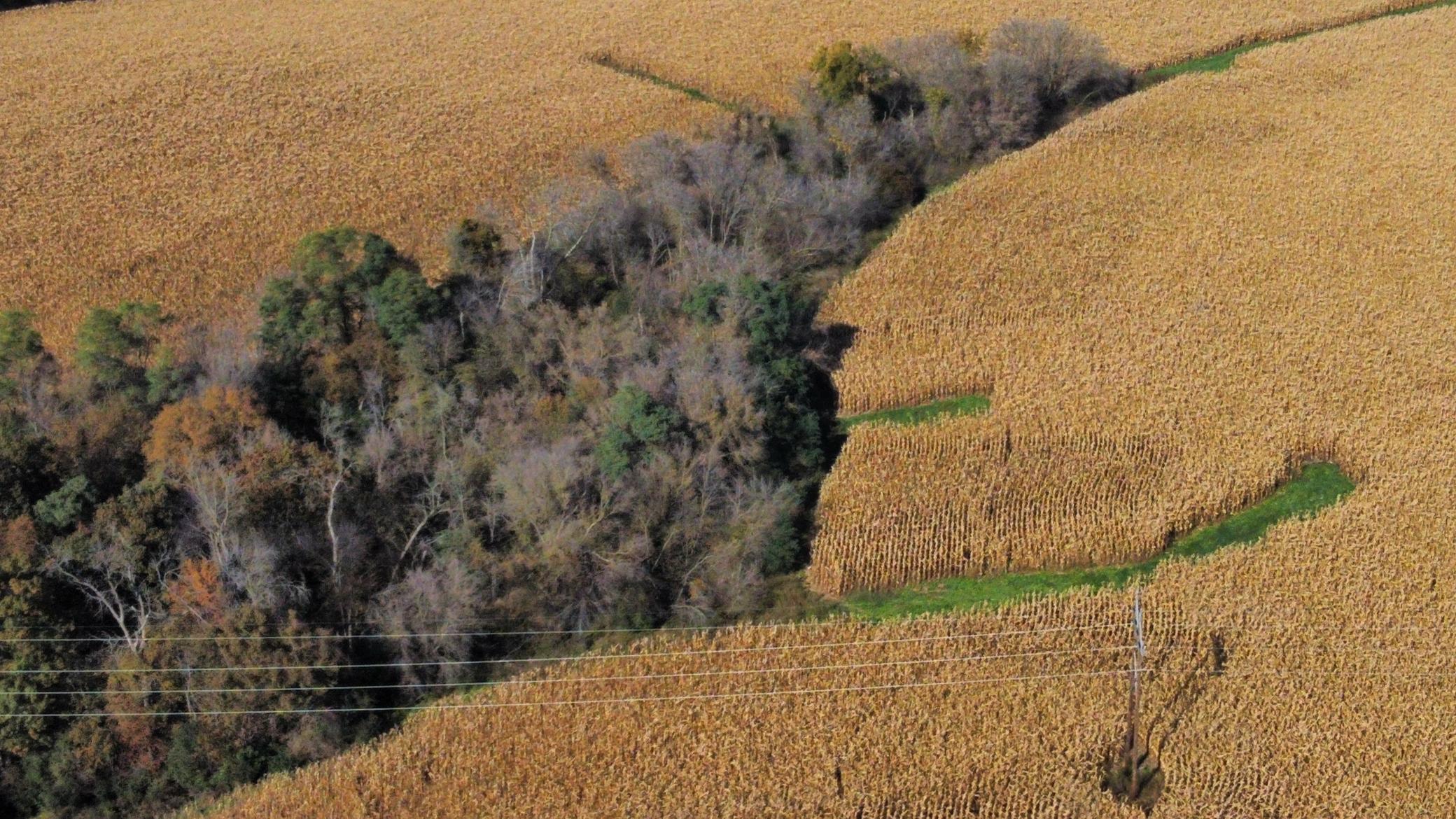 dji_fly_20251024_143138_497_1761334857728_photo_optimized.jpeg