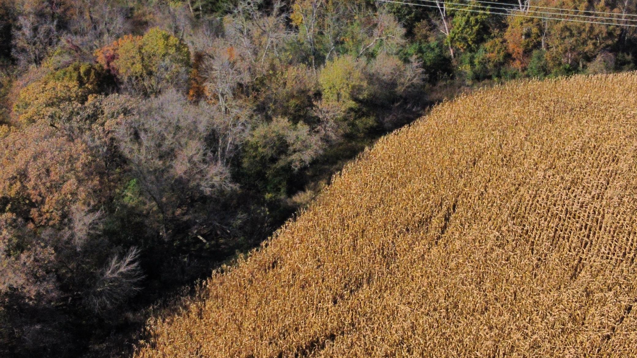 dji_fly_20251024_142916_483_1761334873056_photo_optimized.jpeg