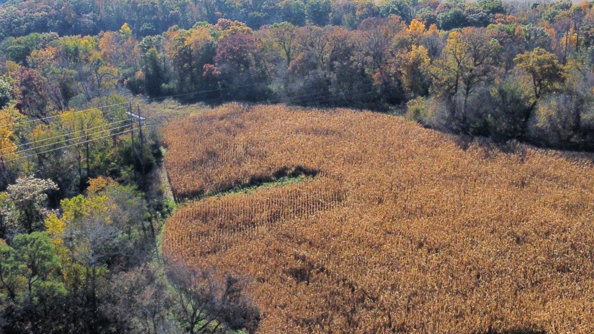 dji_fly_20251024_142712_471_1761334887779_photo_optimized.jpeg