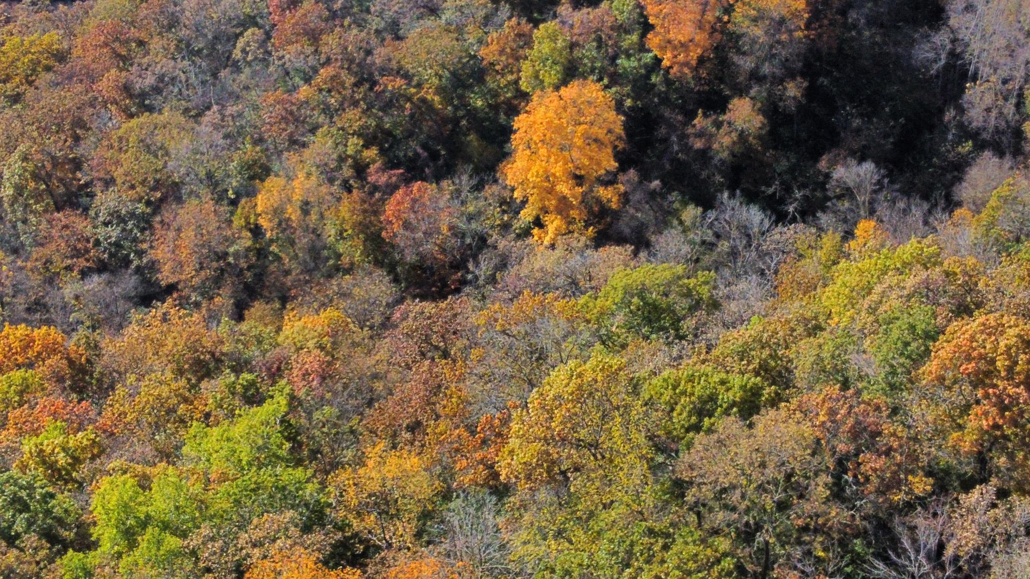 dji_fly_20251024_142840_478_1761334879018_photo_optimized.jpeg