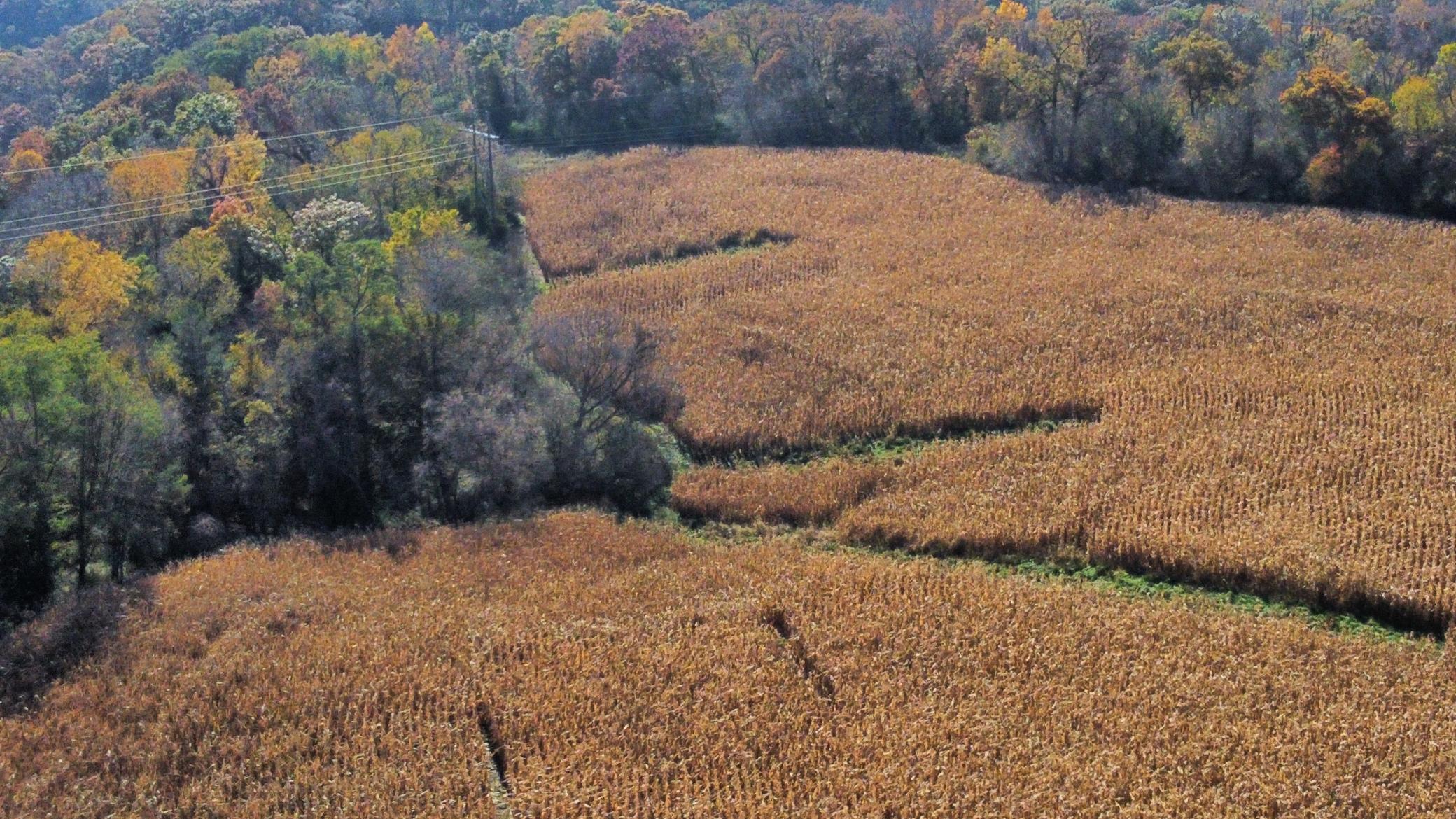 dji_fly_20251024_142634_469_1761334890589_photo_optimized.jpeg
