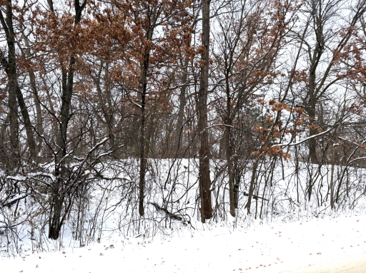 Photo for 371 Totem Road, Saint Paul, MN 55119 - listing #6822151 371 Totem Road, Saint Paul, MN 55119