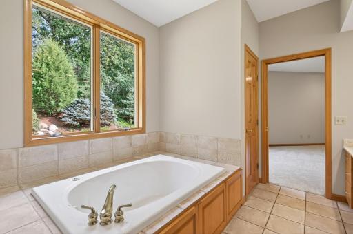 Tremendous view of nature from jacuzzi tub