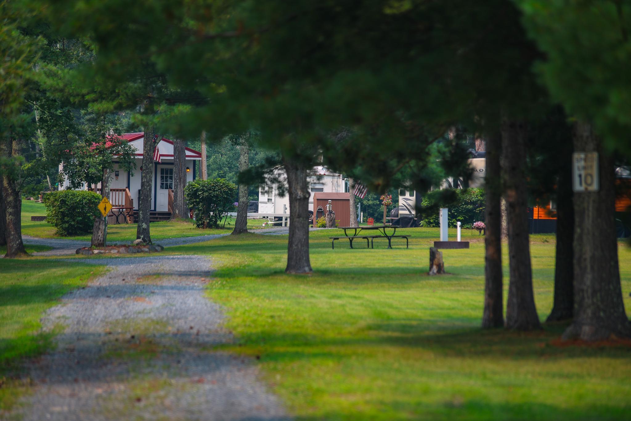The up north feeling, tucked under the pines