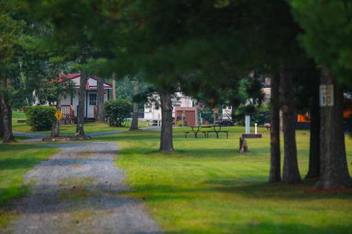 The up north feeling, tucked under the pines