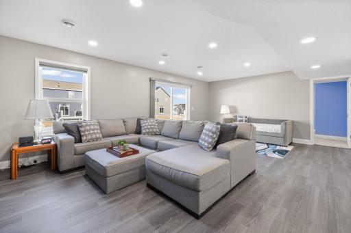 Lower Level Family Room