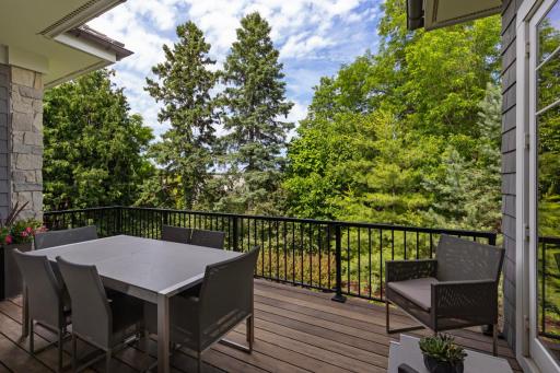 1595 Locust Hills Circle, Wayzata, MN 55391