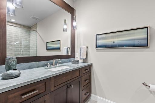 1595 Locust Hills Circle, Wayzata, MN 55391