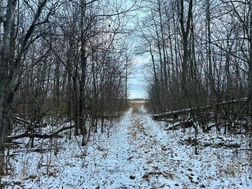 Photo for TBD 160th Street NE, Thief River Falls, MN 56701 - listing #6822604 TBD 160th Street NE, Thief River Falls, MN 56701