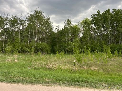 Photo for TBD 160th Street NE, Thief River Falls, MN 56701 - listing #6822604 TBD 160th Street NE, Thief River Falls, MN 56701