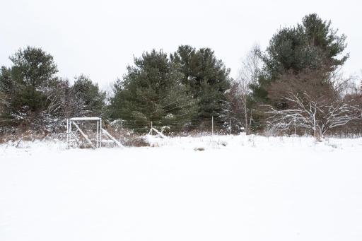 50-web-or-mls-twinsr (39 of 52).jpg