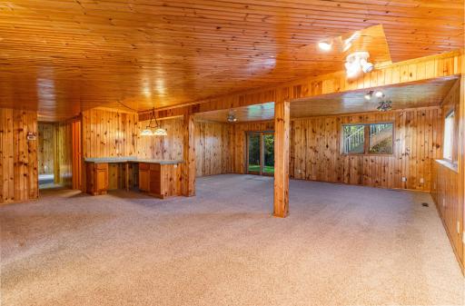 Lower Level Rec Room